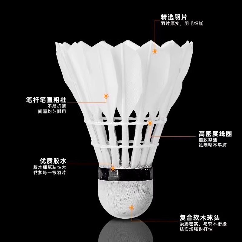 Aslan Badminton Topu Kaz Tüyü  - Feather Shuttlecock incelemesi ve fiyatı